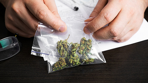 Marihuana am Arbeitsplatz