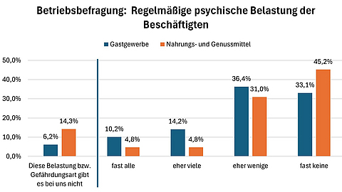GDA Psyche Beschäftigtenbefragung