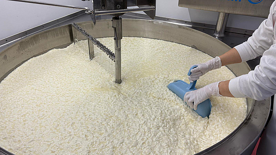 Die Mobile KäSaarei von Caroline Kleis