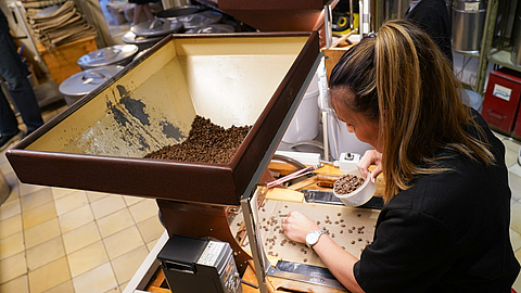 Mitarbeiterin sortiert den gerösteten Kaffee per Hand an einer Maschine