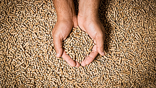 Hände greifen in viele Holzpellets.