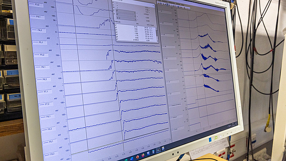 Die Messwerte kann der wissenschaftliche Mitarbeiter direkt auf dem Bildschirm einsehen, an seinem Büroarbeitsplatz zwischen Weißtannen, Kiefern und Fichten. | © Hubert Braxmaier Bildschirm im Messraum auf der Versuchsanlage Kappelrodeck