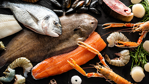 Verschiedene frische Fische und Meeresfrüchte auf schwarzem Hintergrund