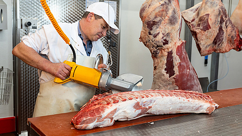 Arbeiten mit Zerlegesäge