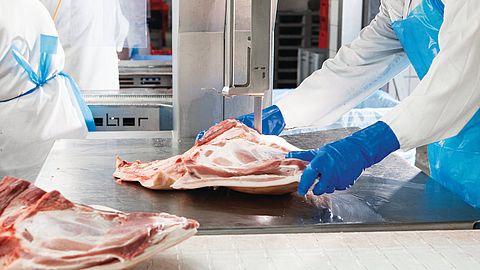 Fleisch und Knochen mit einer Bandsäge schneiden