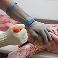 Ausbeinarbeit mit Schnittschutzhandschuh an Messer führender Hand und Stechschutzhandschuh an der anderen Hand | © Oliver Rüther / BGN Ausbeinarbeit mit Schnittschutzhandschuh an Messer führender Hand und Stechschutzhandschuh an der anderen Hand