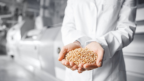 Nahaufnahme eines Arbeiters, der Getreide für die Herstellung von Weißmehl in einer automatisierten modernen Mühle für Brot hält | © Parilov - stock.adobe.com Nahaufnahme eines Arbeiters, der Getreide für die Herstellung von Weißmehl in einer automatisierten modernen Mühle für Brot hält